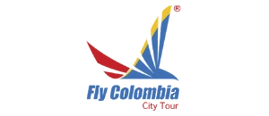 fly